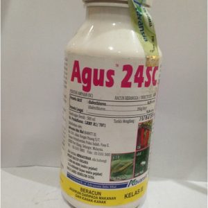 AGUS 24SC